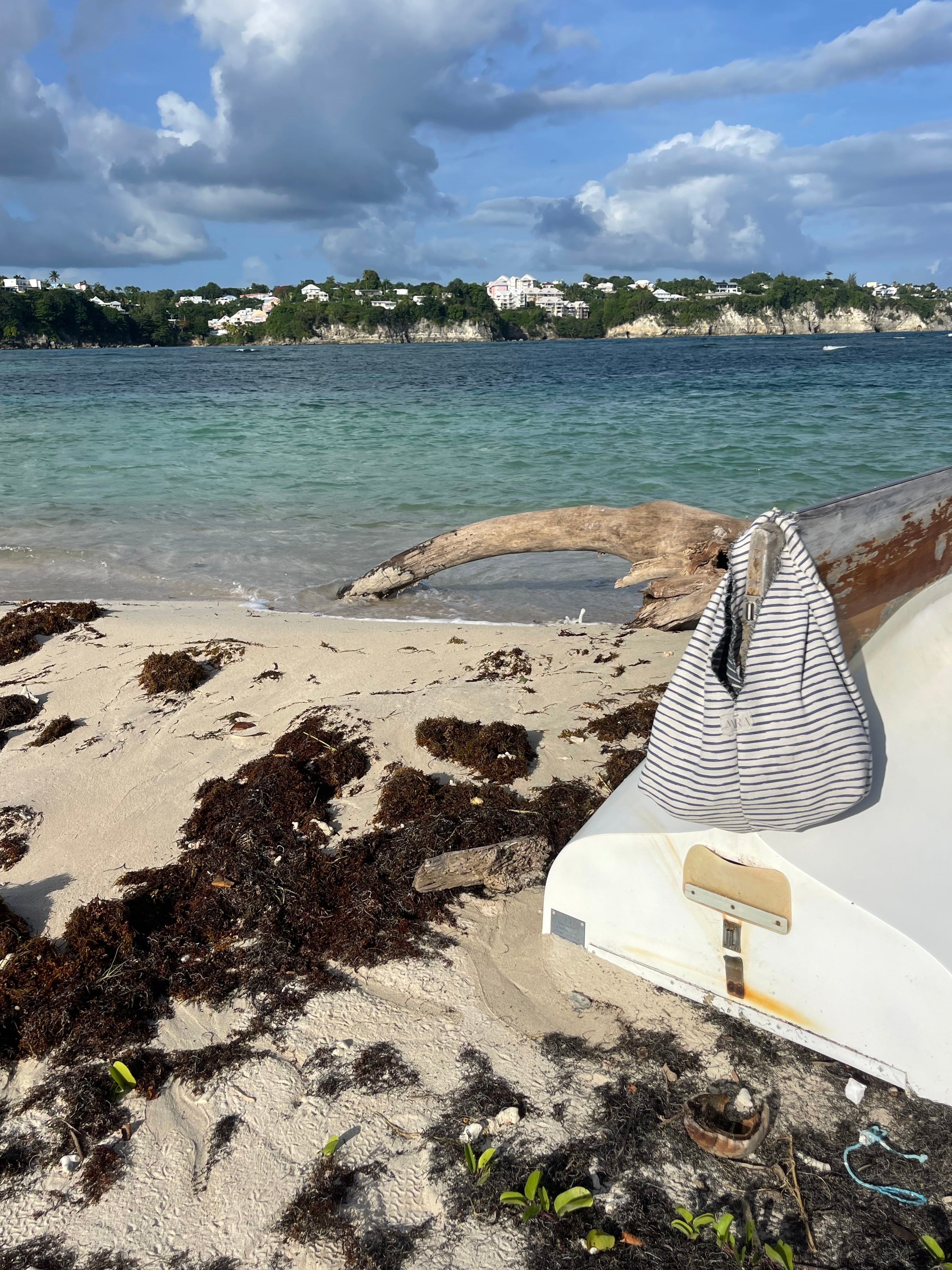 Les sacs et bananes